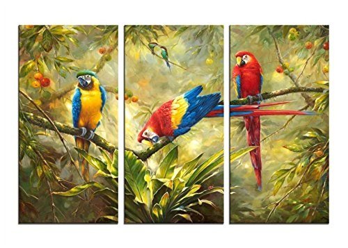 Hlj Art 3 Panels Parrot Wall Art: Tropical Rain Forest Animal Picture Canvas Print Painting thumb #1