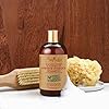 SheaMoisture Intensive Hydration Shampoo for Dry, Damaged Hair Manuka Honey and Mafura Oil Sulfate-Free 13 oz