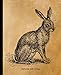 Hare Rabbit Composition Book Journal: Vintage Illustration College Ruled Notebook, 200 Pages, Lined Journal for Adults, Teens, Back To School