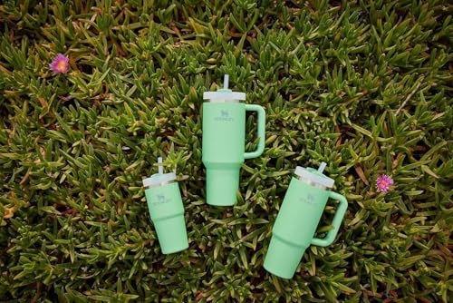 Image of STANLEY Quencher H2.0 Tumbler with Straw 20 oz | Flowstate 3-Position Lid | Cup Holder Compatible for Travel | Insulated Stainless Steel Cup | BPA-Free | Jade