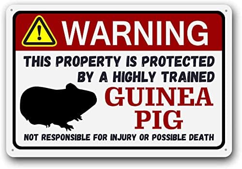 Miniatura 19 de Eveokoki Letrero de cuervo – Divertido letrero de advertencia de metal para mascotas, mascotas exóticas y pequeñas, 12 x 16 pulgadas