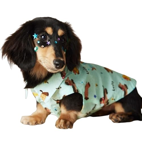 ybgȀtƉẴX^CǍ̃m[X[uVcA킢efBAViEU[A_bNXtgArVt[[AxXgA_炩KAzƒʋC (O[,XL)