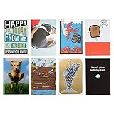 Hallmark Shoebox Funny Birthday Card Assortment (8 Cards with Envelopes)
