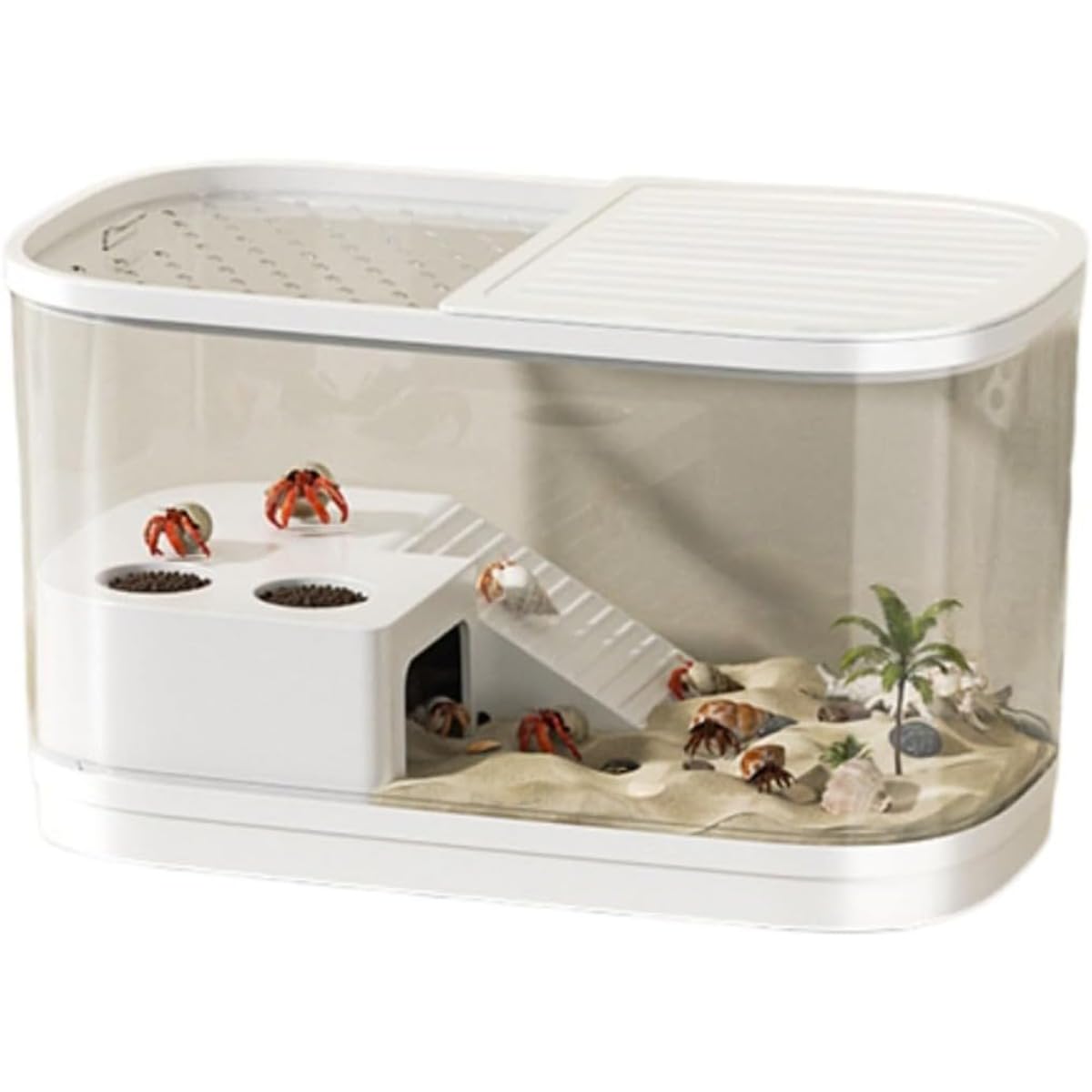 Amazon | coovt ヤドカリ飼育箱 小型高級ヴィラ カニ専用生態水槽 登り