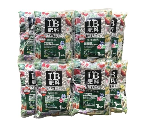 POZbg Y ha엿 P × PO ivPOj Ɍ엿