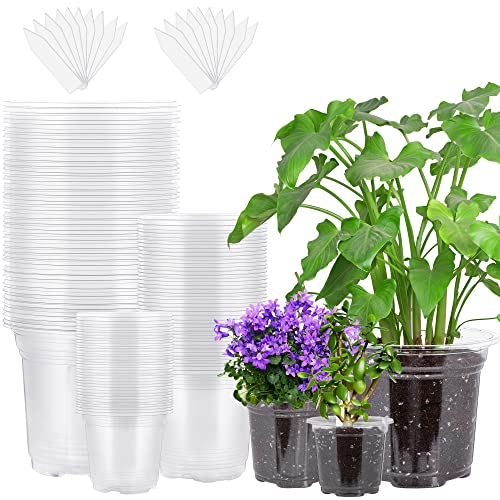 Hahood 60 Packs 3.5/4/5 Inch Clear Nursery Pots Transparent Plastic Plant Pot with Drainage Holes, Seed Starting Pot Clear Planter Container with Plant Labels for Flower Seedlings Vegetable