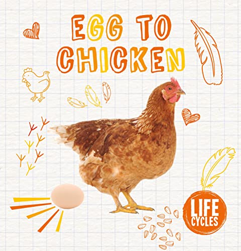 Egg to Chicken (Life Cycles)