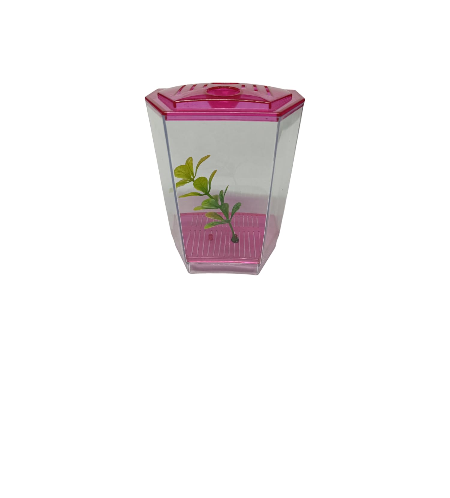 See full amazon price history chart for Betta Tank - Betta House for Singel Betta Betta Tank - Betta House for Singel Betta (B0CRBD1PWY) Amazon Price History, Amazon Price Tracker
