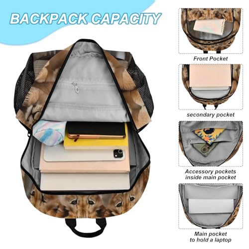 Cute Small Lions Backpack Lunch Bag Set for Travel Hiking Picnic, Backpacks with Insulated Lunch Box4