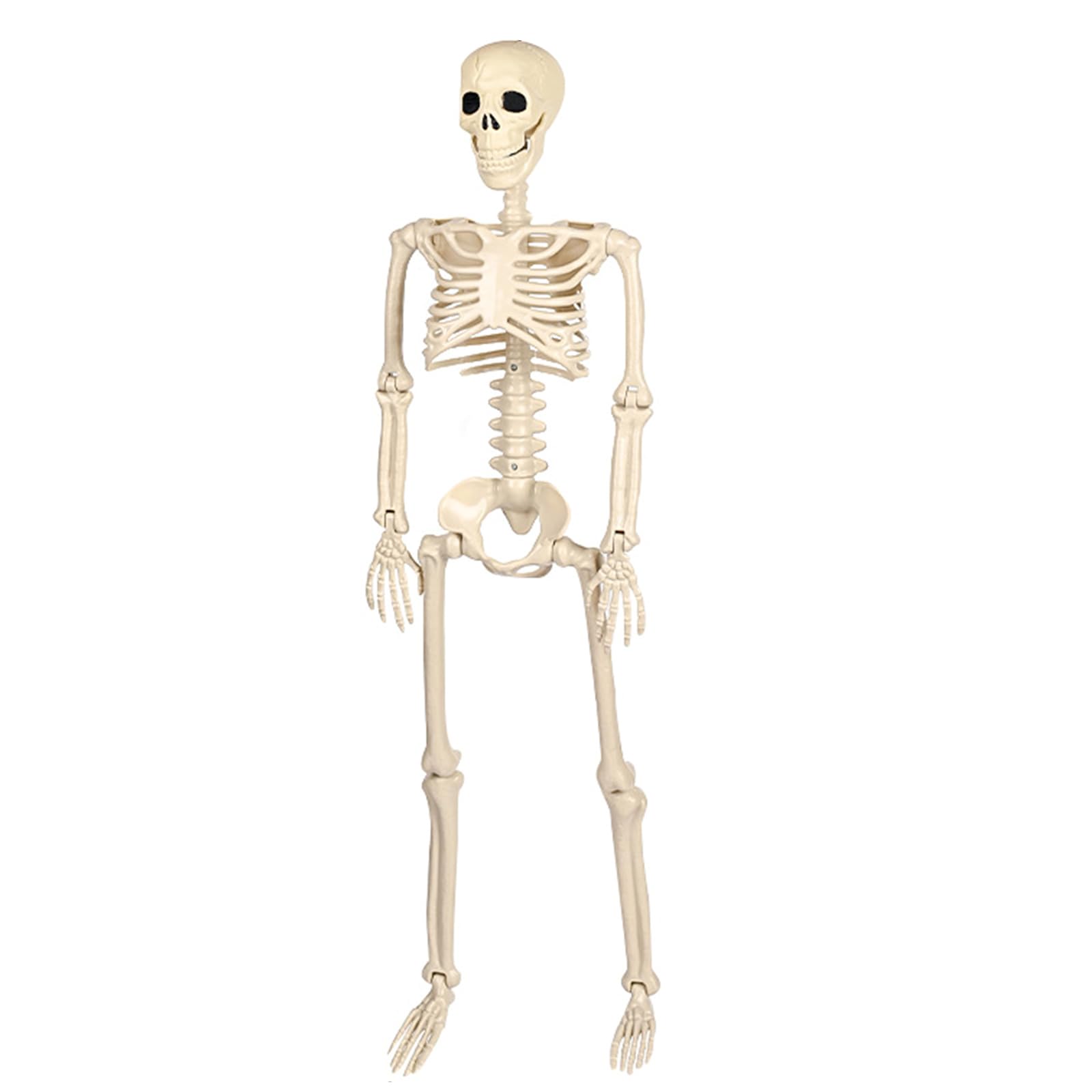 Msioytog Realistic Skeleton Poseable Full Body Halloween Decoration with Movable Joints for Party Terrifying Haunting House Props Ceiling Hanging Skeleton