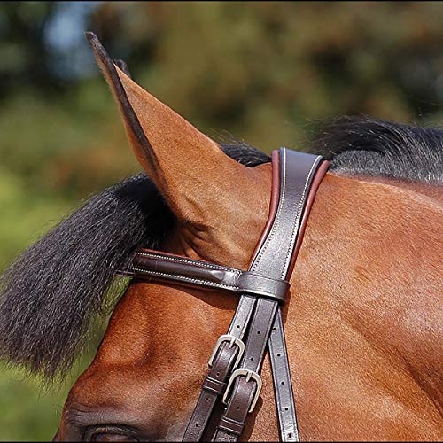 Dy'on Brida WC Classic Flash resuelve el ajuste perfecto Full 4