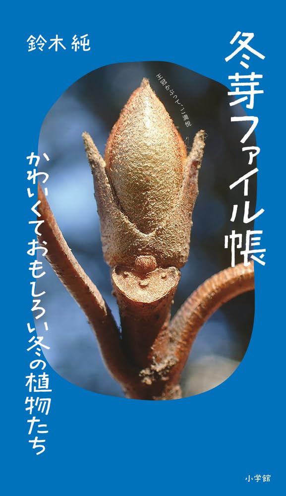 冬芽ファイル帳: かわいくておもしろい冬の植物たち | 鈴木 純, 鈴木