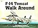 F-14 Tomcat  Walk Around  (Walk Around No. 3)