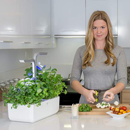 Véritable® SMART (Arctic White version) - Potager d’Intérieur Fabriqué en France – Jardin Autonome Intelligent avec sa Technologie ADAPT’ LIGHT - Livré Avec 4 Lingots® Véritable® SMART (Arctic White version) - Potager d’Intérieur Fabriqué en France – Jardin Autonome Intelligent avec sa Technologie ADAPT’ LIGHT - Livré Avec 4 Lingots®