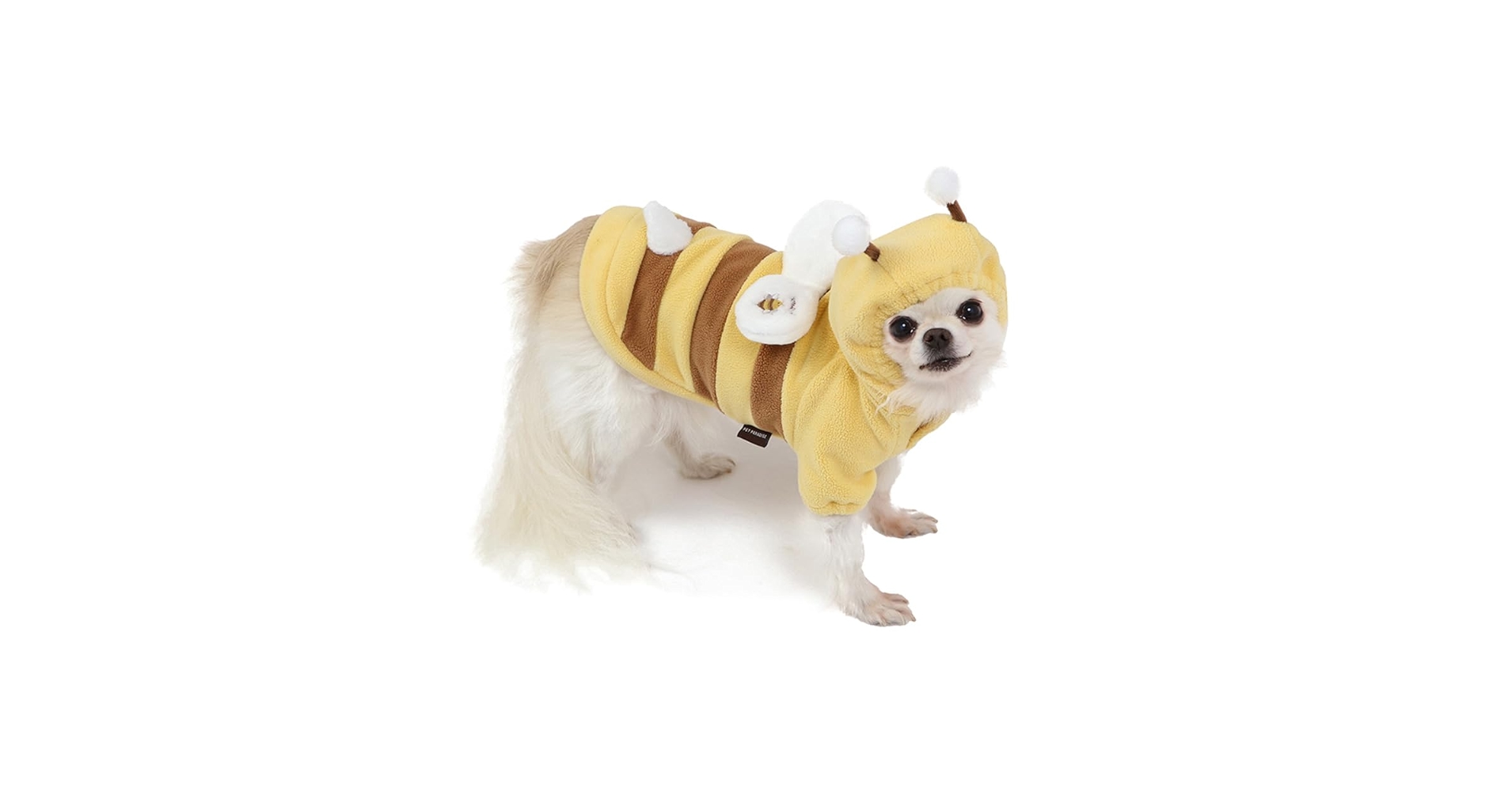 51T3SxOibXL.jpg_BO30,255,255,