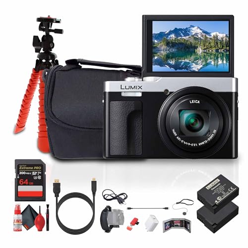 pi\jbN ZS99 Point and Shoot RpNggxfW^J(Vo[) (DC-ZS99S) + 64GB [J[h + DMW-BLG10obe[ + JobO + tLVuOr + USB-CP[u + 