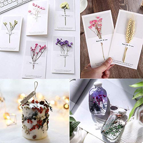 Shiwaki Kunstbloemen Simulatie Bloemen Doos Bewaarde Gedroogde Bloem Plant DIY Kaars Hars Sieraden Maken Craft Decor… - Afbeelding 4