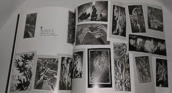 Hardcover Winds of Life Book