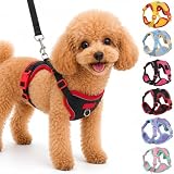Olcyren Hundegeschirr mit Hundeleine Set, Verstellbare Reflektierende Welpen Geschirr Hund, Weich Mesh Atmungsaktive Brustgeschirr, Dog Harness für Kleine und Mittelgroße Hunde, Katzen (Schwarz, S)