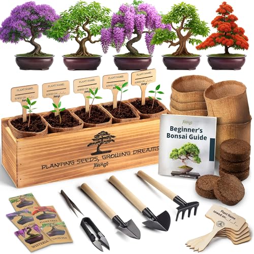 DIY Bonsai Tree Kit for Beginners – 5X Unique Japanese