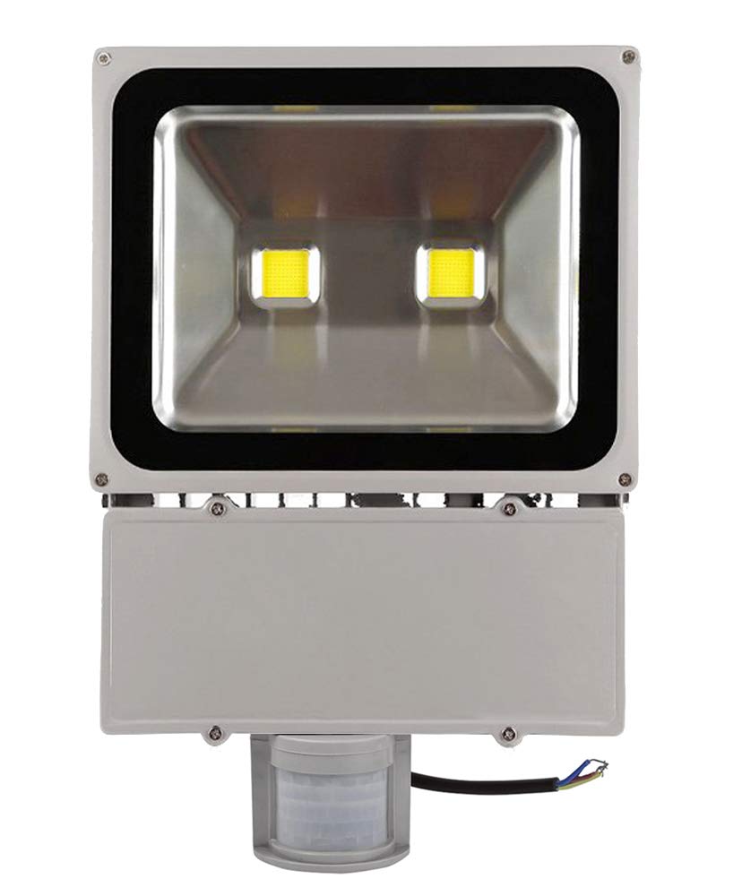 2X 100W LED Strahler Fluter+Bewegungsmelder Kaltweiß kaltweiss Objektbeleuchtung Wandstrahler Flutlicht Außenstrahler Gartenlampe IP65 85V-265V
