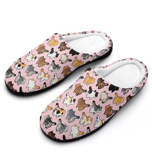 [STEBVI] Xbp  G L lR [V[Y  nEXXbp  Y fB[X  ~ g 􂦂 qp p jp v[g