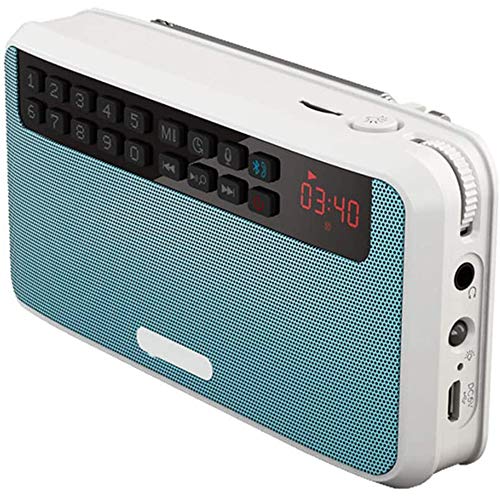 Digital Radio Mit Bluetooth, Digital-FM-Radio Bluetooth-Lautsprecher-Beweglicher Drahtlosen Voice Recorder AM Receiver Aufnahme USB-MP3-Stereo