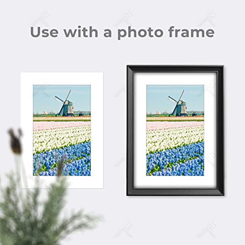 Golden State Art, Acid Free, Pack Of 10 5X7 White Picture Mats Mattes With White Core Bevel Cut For 4X6 Photo + Backing + Bags #TOP6