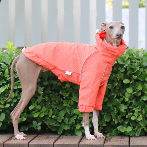 IUOUTG Hundeleichter Jacke Windbreaker, Rollkragenpet Haustier Outdoor Sportjacke, wasserdichte Italienische Windhundmantel Whippet -Kleidung Für Hunde