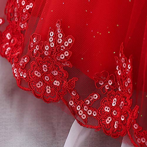 Image of Baby Toddler Lace Dress Girls First Baptism Elegant Embroidery Party Flower Bridesmaid Dresses Up
