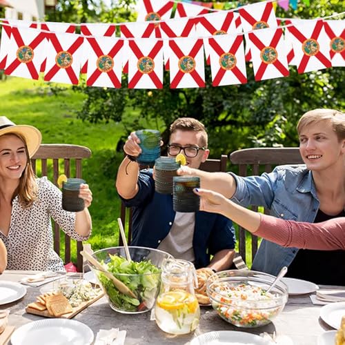 Image of 32.8 ft Florida Flag Banner, 30 Pcs Mini State String Flags, Red White Seal Bunting for Florida Day, Parades, Festivals, Home, Garden, and Outdoor Decorations