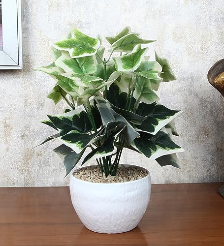 Image of Foliyaj Artificial Ivy Plant with White Pot | Indoor Plants for Home Decor | Living Room Decor | 28 cm Height | Decoration for Home and Office