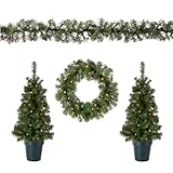 National Tree Promotional Assortment with Battery Operated LED Lights