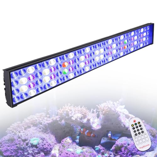 Lumières LED pour aquarium de 3ft pour créer un magnifique récif marin dans votre salon