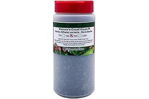 Nature's Good Guys Dalotia (Atheta) coriaria - Rove Beetle