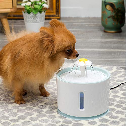 Bebedouro automático, dispensador conveniente de água para animais de estimação, para cães e gatos
