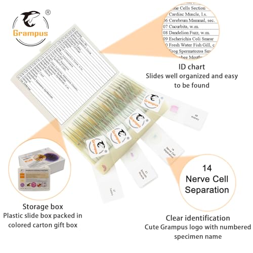 Image of 30 Prepared Microscope Slides with Specimens for Kids Students - Histology, for Biological Science Lab, Children's Science Education, Homeschooling Use