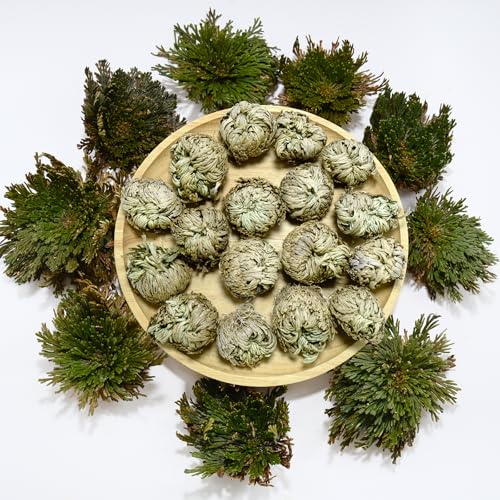 11 Pack Rose of Jericho Resurrection Plants 12 Inch Rosa de Jerico Original Unfolds in Water Dried Fern Prayer Plants for Spiritual Purification Home Decor Gift for Plant Lovers