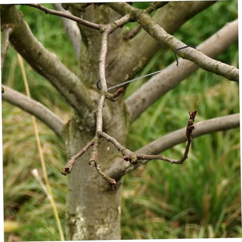 Separadores de ramas para árboles frutales 20 piezas miniatura 4