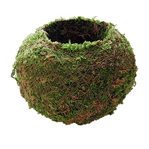 UJEAVETTE 3xCreative Moss Ball Flower Pot Planter Bonsai Plant Holder Home Garden 18cm-image-11