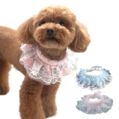 ybgp 悪ꂩ ybgpi p Lp ^ ^ t   t  tH[} ^LV[h̋ \ [X ^ a v ZX ANZT[ (sN, XS)