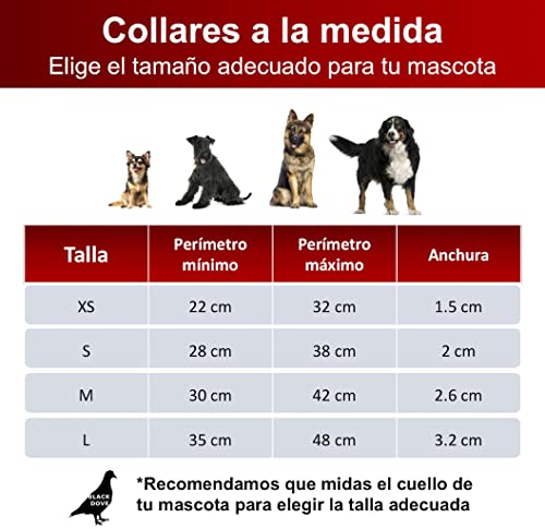 Collares Y Correas, Pet Products Imagen adicional