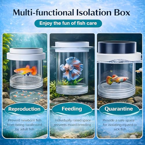 Image of VAYINATO White Arylic Floating Fish Breeder Box for Aquarium - Isolation Tank Separator Hatchery Incubator for Guppy, Betta, Fry, Baby & Injured Fish | Transparent Multi-Use Breeding Box (Small)