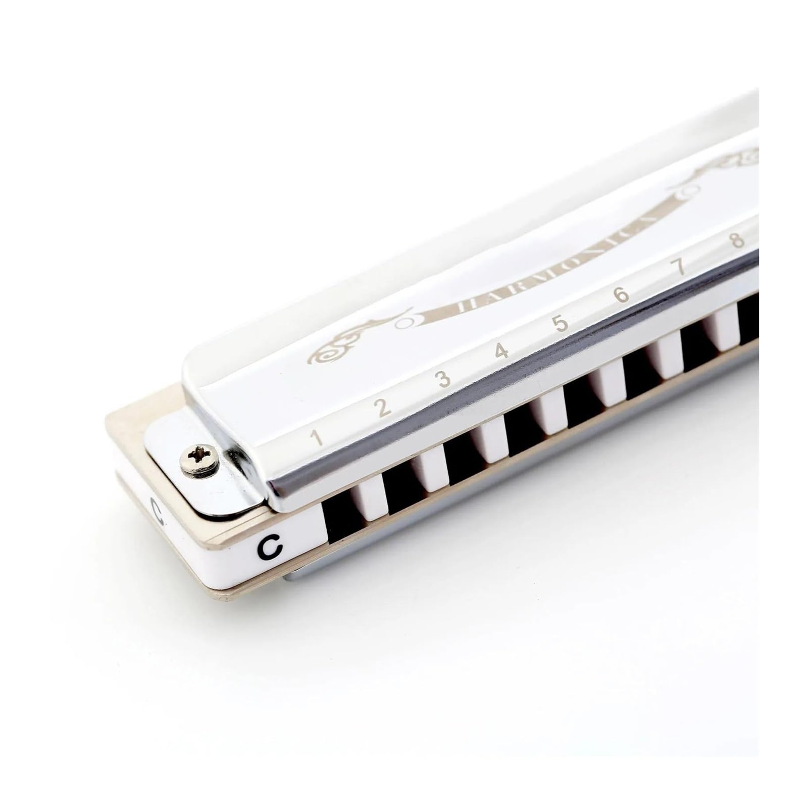 Armonica Armonica a bocca 10 fori Blues Harp Diatonica Blues Armonica a bocca Argento Armonica a bocca Diatonica Blues Tonalità di Do