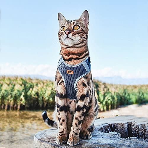 FERPLAST NIKITA PP, PEITORAL PARA CÃES E GATOS, PRETO