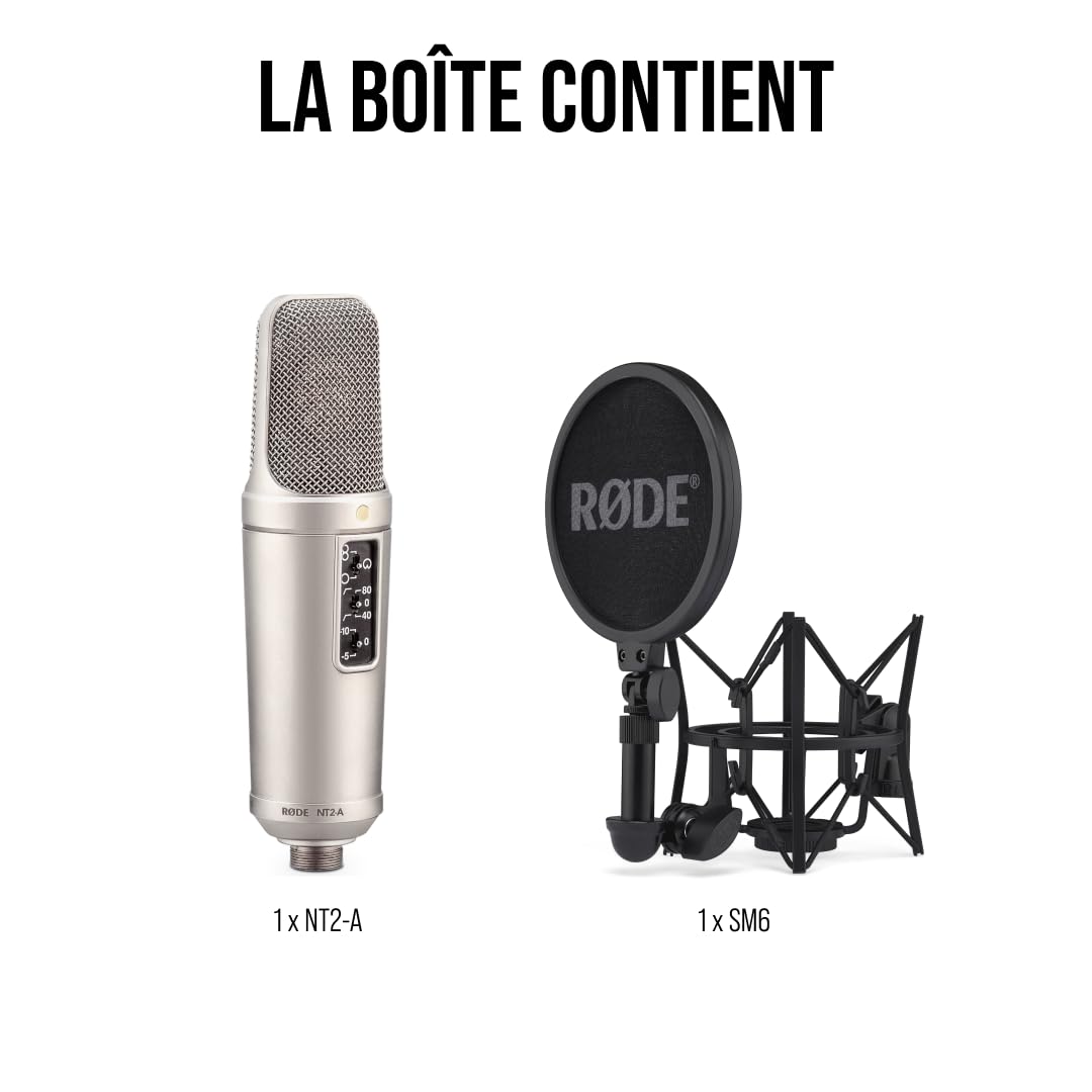 RØDE NT2-A Microphone à condensateur à large membrane polyvalent avec motif polaire commutable, pad et filtre passe-haut pour enregistrement vocal et instrumental