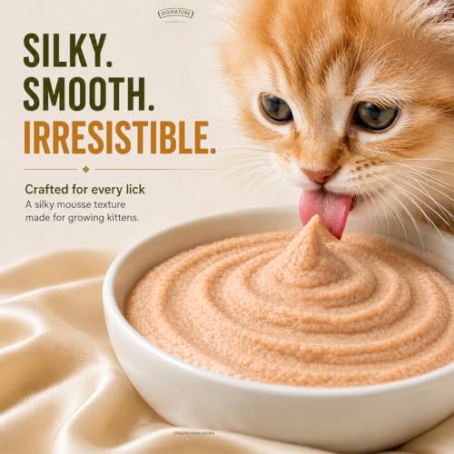 Image of Grain Zero Kitten Wet Mousse 80g Pack of 5, 400g | Chicken | Rich in Protein | Promotes Hydration & Easy to Digest | No Artificial Flavours | Packed with Essential Vitamins & Antioxidants