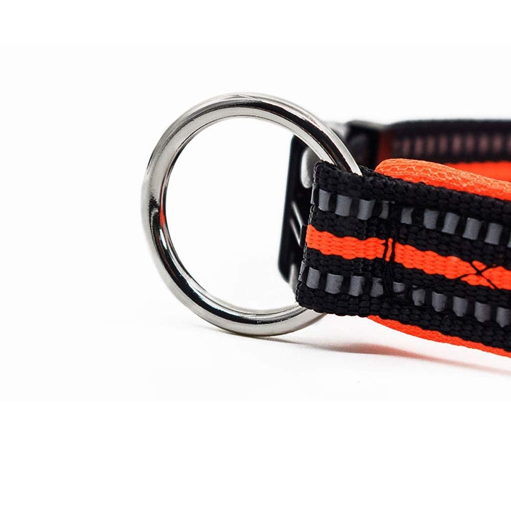 XIANGFAGS Laisse Chien Pet Dog Leash for Les Chiens débrayables de sécurité réfléchissant en Nylon Air Mesh Respirant élastique Laisses for Chiens Petit Moyen Grand Marche (Color : 3)