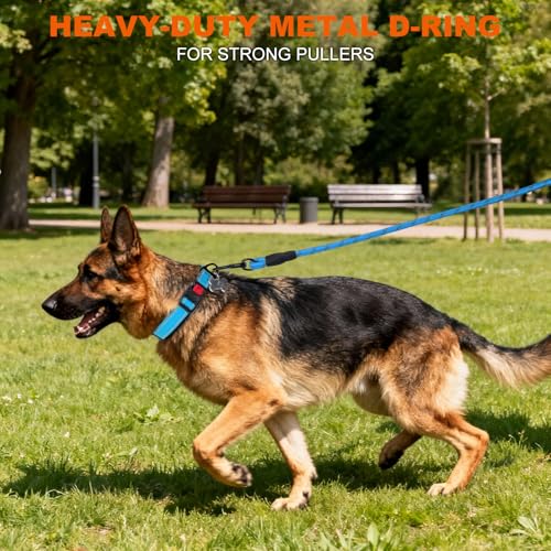Image of Taglory Reflective Extra Large Dog Collar, Comfortable for Safe Night Walks