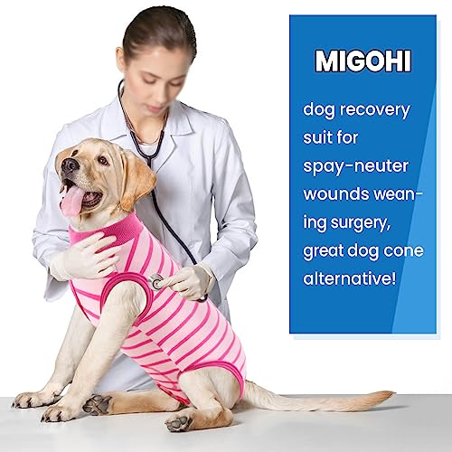 Migohi Dog Recovery Suit, Anti Licking Biting Dog Surgical Onesie After Surgery, Professional Dog Bodysuit For Male Female Dogs, Spay & Neuter Dog Shirts For Abdominal Wounds Skin Disease, Rose 2Xl #TOP6